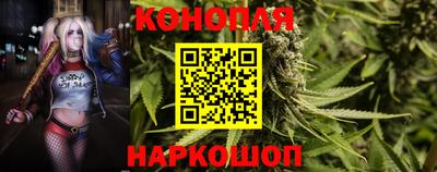 мдма Сланцы