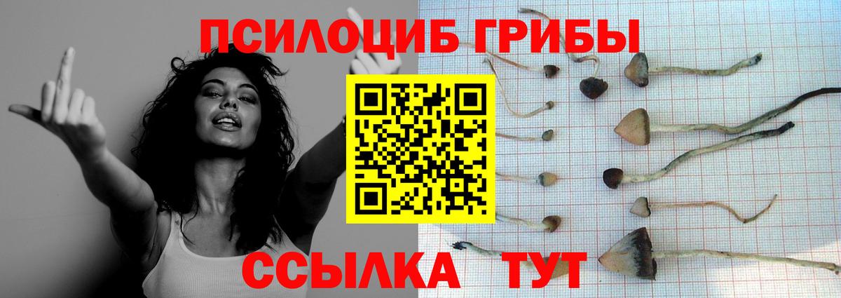Алатырь  Галлюциногенные грибы Psilocybe  Вход с VPN  Псилоцибиновые грибы мицелий 